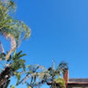 Meet your Posher, Tony